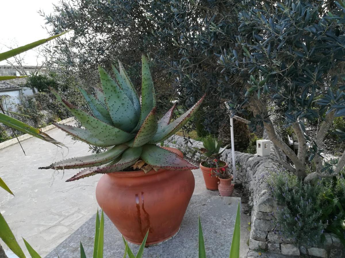 Casa Degli Avi Don Neli, Immersa Nella Natura Modica Exterior photo